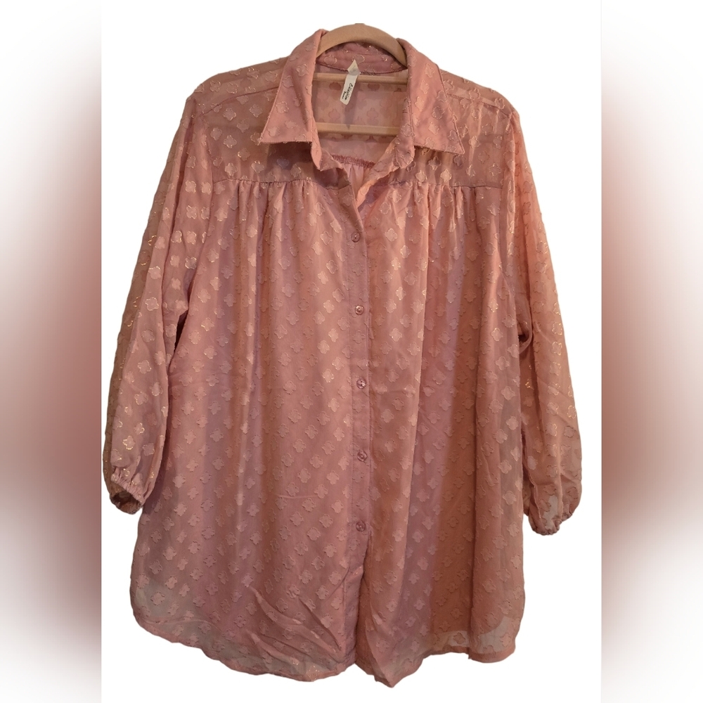 🌸 NWOT Collection B Light Pink Blouse